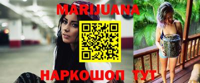 индика Усть-Джегута