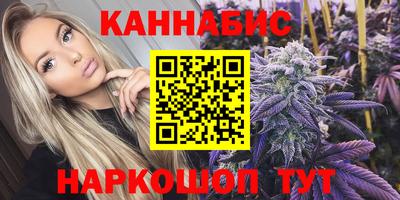 индика Усть-Джегута