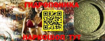 индика Усть-Джегута