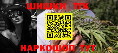 индика Усть-Джегута