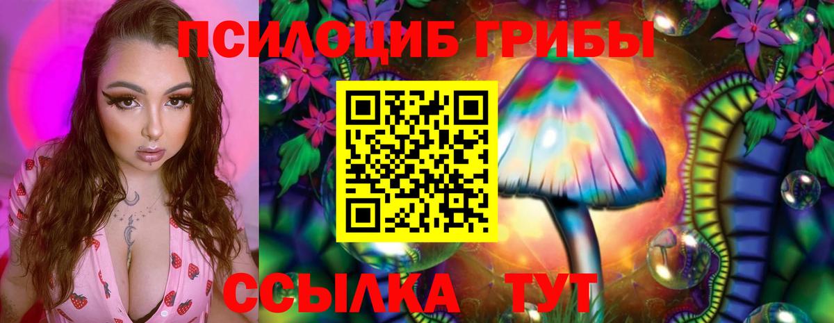 Галлюциногенные грибы прущие грибы Нижневартовск